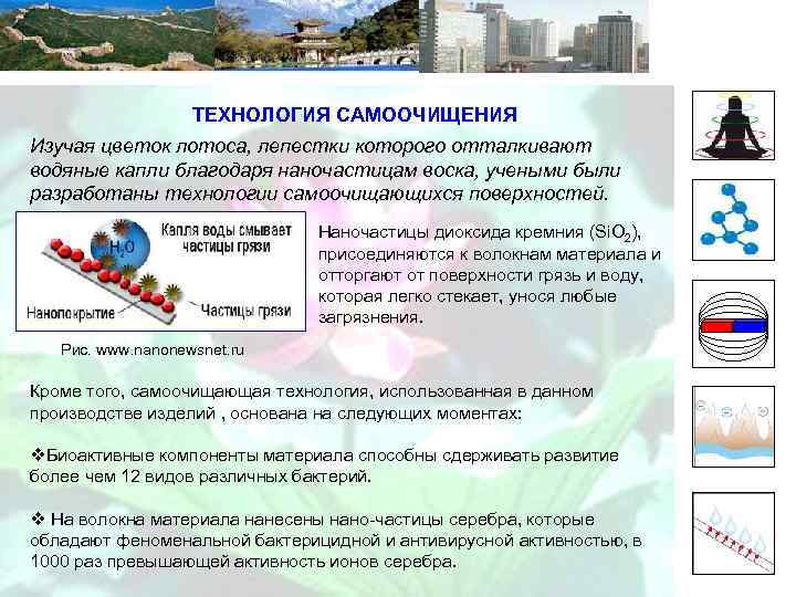 ТЕХНОЛОГИЯ САМООЧИЩЕНИЯ Изучая цветок лотоса, лепестки которого отталкивают водяные капли благодаря наночастицам воска, учеными