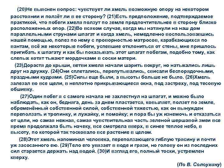 (20)Не выяснен вопрос: чувствует ли хмель возможную опору на некотором расстоянии и ползёт ли