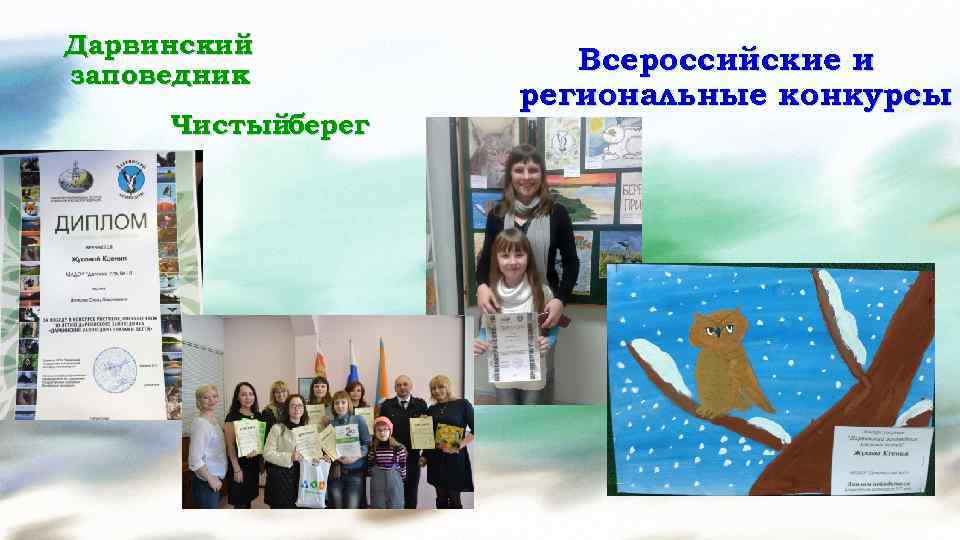 Дарвинский заповедник Чистыйберег Всероссийские и региональные конкурсы 