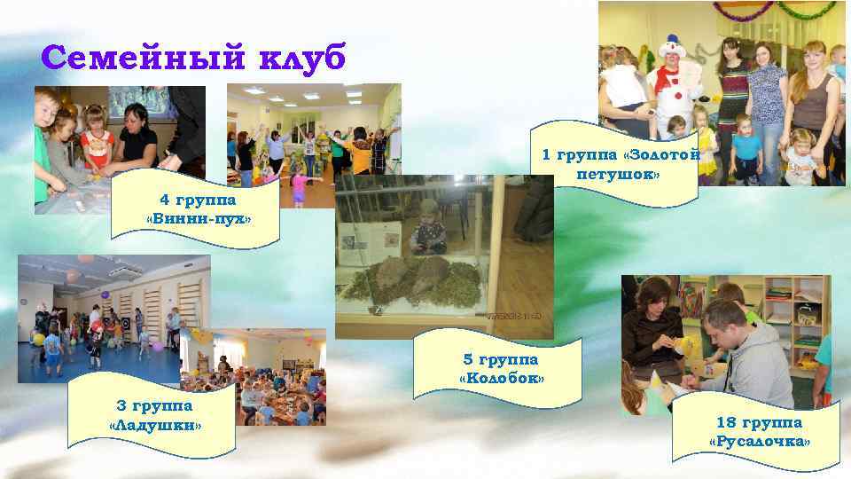 Семейный клуб 1 группа «Золотой петушок» 4 группа «Винни-пух» 5 группа «Колобок» 3 группа
