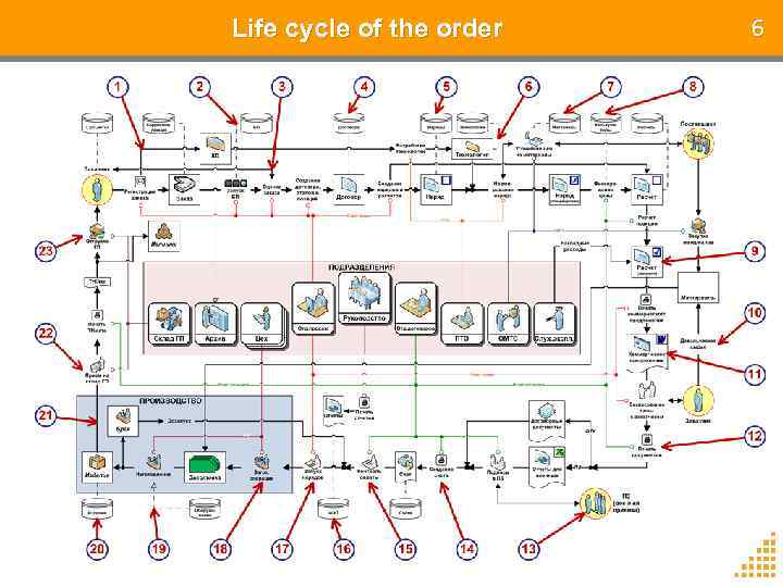 Life cycle of the order 6 