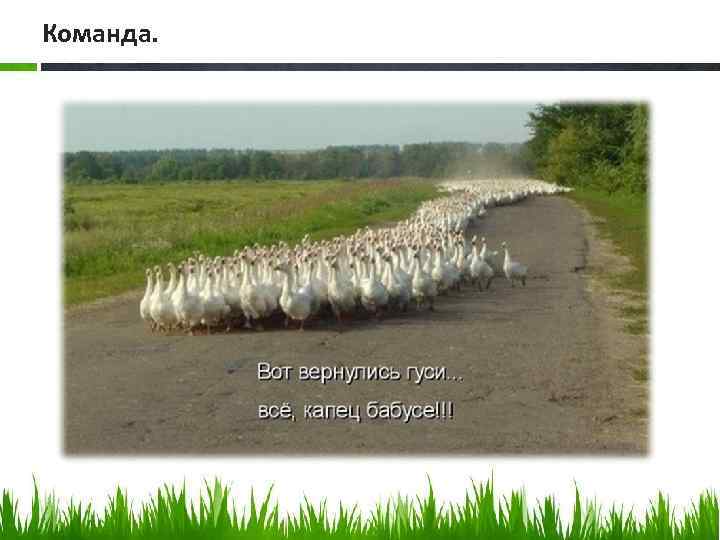 Команда. 