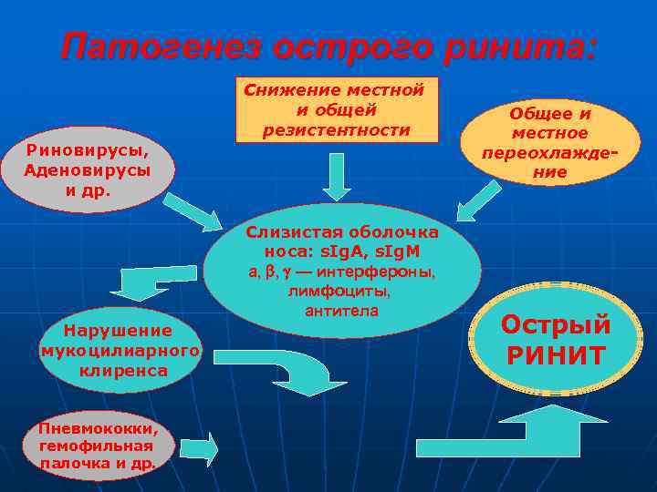 Патогенез острого ринита: Снижение местной и общей резистентности Риновирусы, Аденовирусы и др. Слизистая оболочка