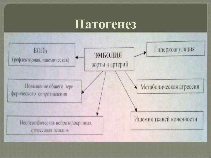 Патогенез 