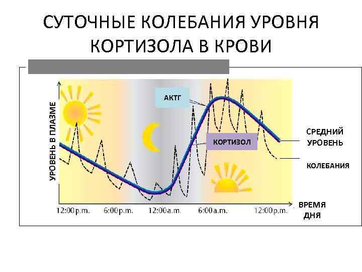 Изменение суточных