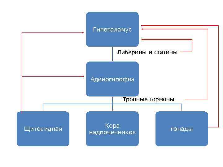  Foto 36