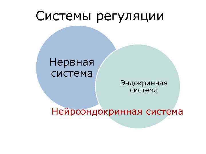 Системы регуляции Нервная система Эндокринная система Нейроэндокринная система 