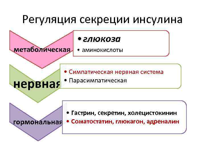 Регуляция секреции инсулина • глюкоза метаболическая • аминокислоты нервная • Симпатическая нервная система •