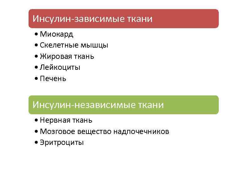 Инсулин-зависимые ткани : • Миокард • Скелетные мышцы • Жировая ткань • Лейкоциты •