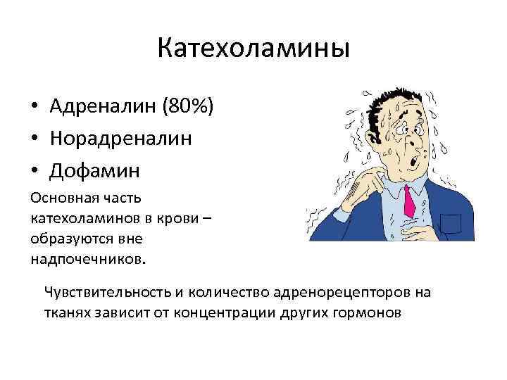 Катехоламины • Адреналин (80%) • Норадреналин • Дофамин Основная часть катехоламинов в крови –