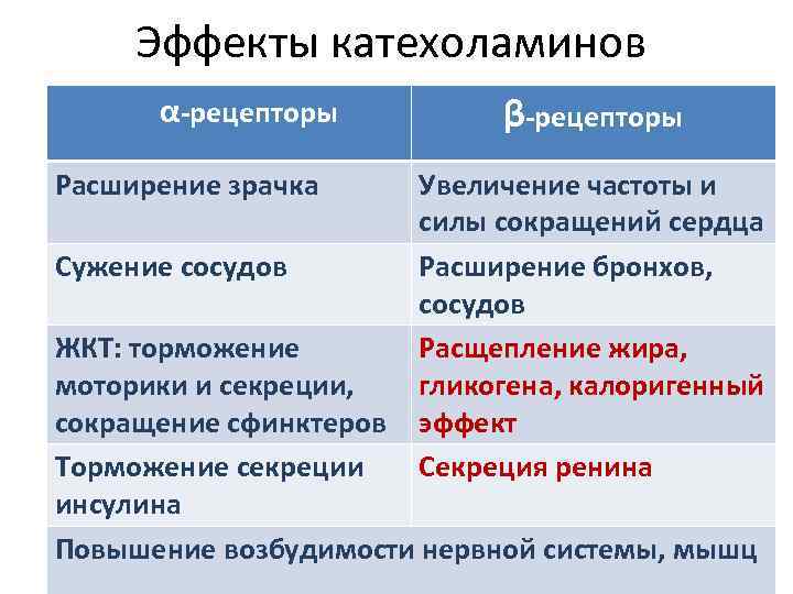 Эффекты катехоламинов α-рецепторы Расширение зрачка Сужение сосудов β-рецепторы Увеличение частоты и силы сокращений сердца