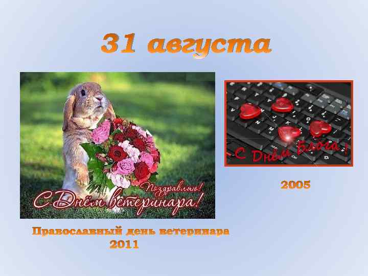 31 августа 2005 Православный день ветеринара 2011 