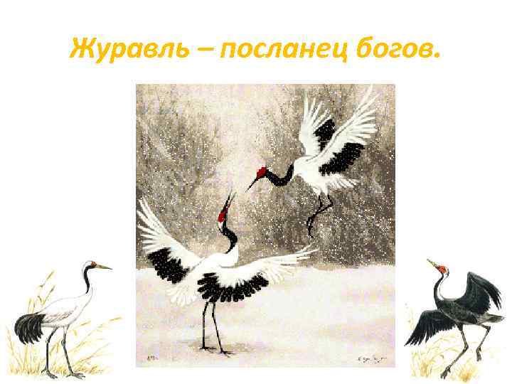 Журавль – посланец богов. 