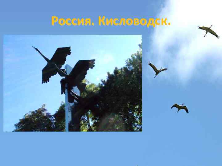 Россия. Кисловодск. 