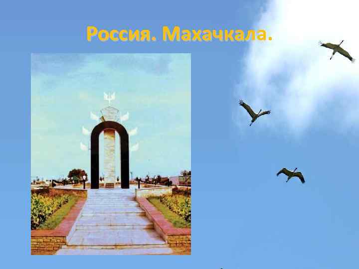 Россия. Махачкала. 
