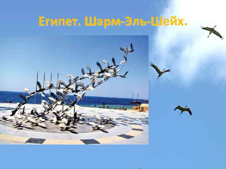 Египет. Шарм-Эль-Шейх. 