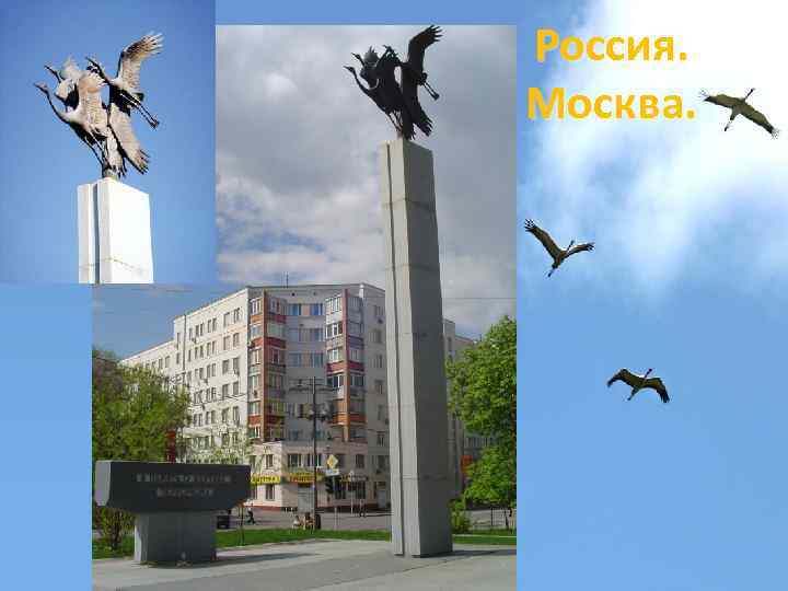 Россия. Москва. 