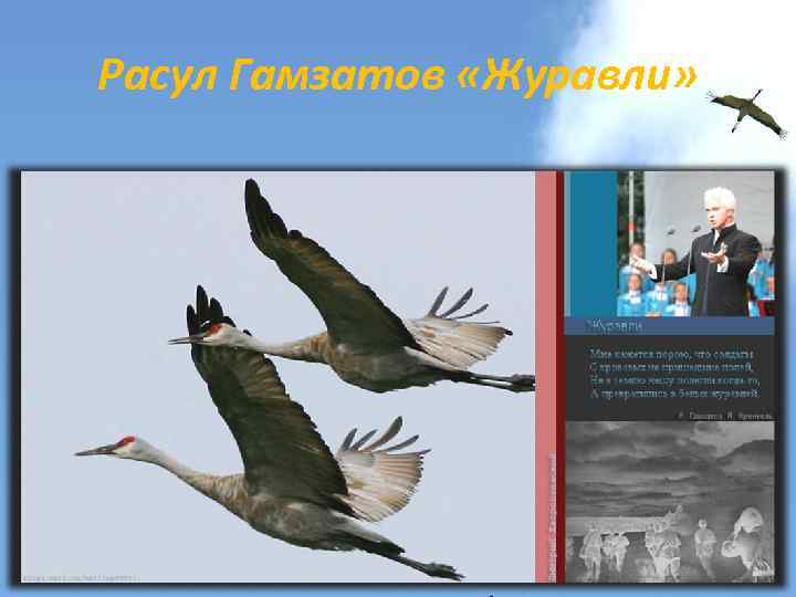 Расул Гамзатов «Журавли» 