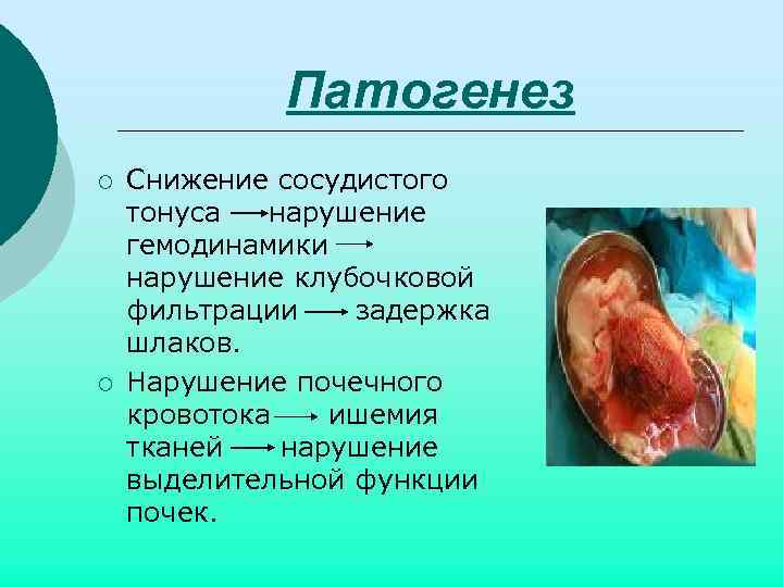 Патогенез ¡ ¡ Снижение сосудистого тонуса нарушение гемодинамики нарушение клубочковой фильтрации задержка шлаков. Нарушение