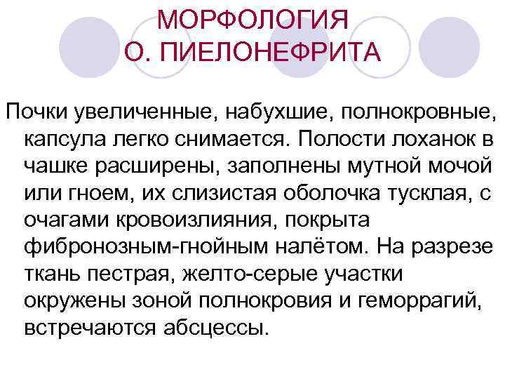 МОРФОЛОГИЯ О. ПИЕЛОНЕФРИТА Почки увеличенные, набухшие, полнокровные, капсула легко снимается. Полости лоханок в чашке