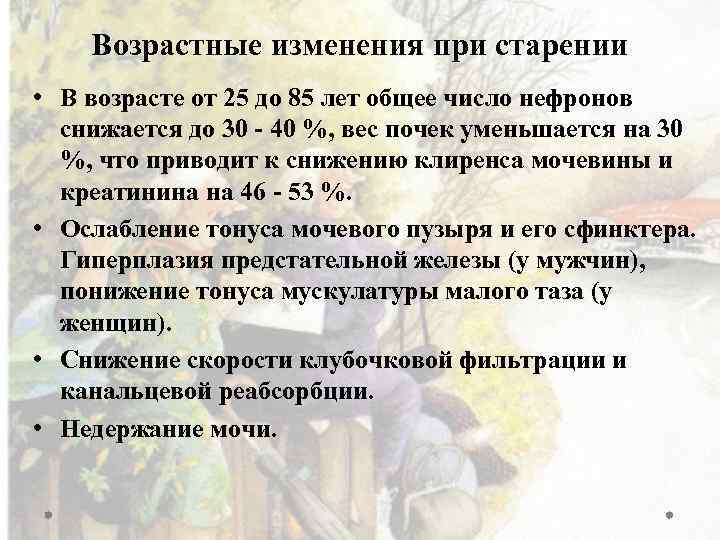 Возрастные изменения при старении • В возрасте от 25 до 85 лет общее число