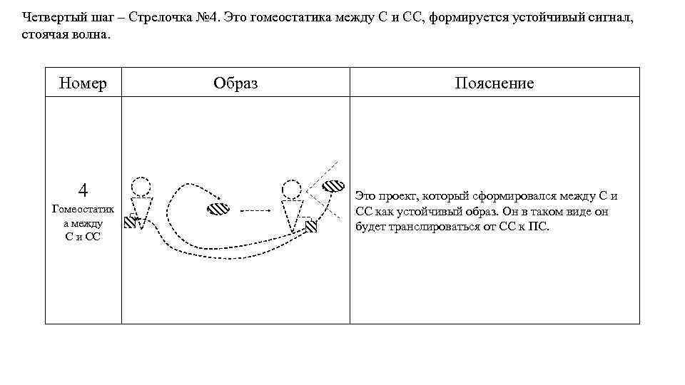 Четвертый шаг – Стрелочка № 4. Это гомеостатика между С и СС, формируется устойчивый