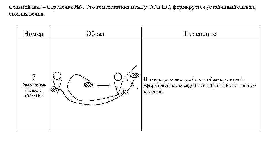 Седьмой шаг – Стрелочка № 7. Это гомеостатика между СС и ПС, формируется устойчивый