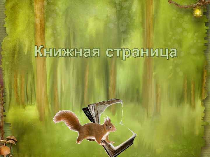 Книжная страница 