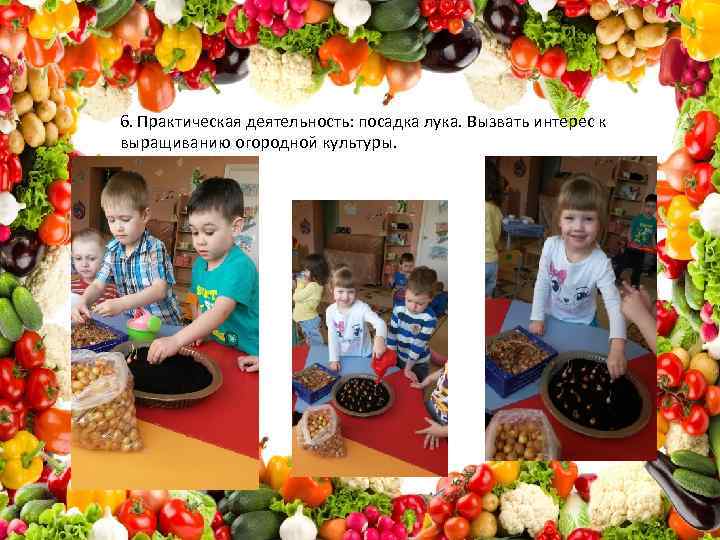 6. Практическая деятельность: посадка лука. Вызвать интерес к выращиванию огородной культуры. 