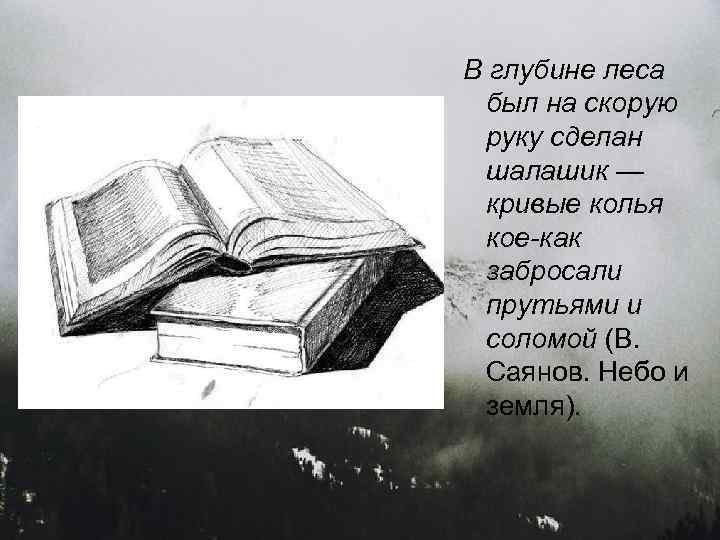 В глубине леса был на скорую руку сделан шалашик — кривые колья кое-как забросали