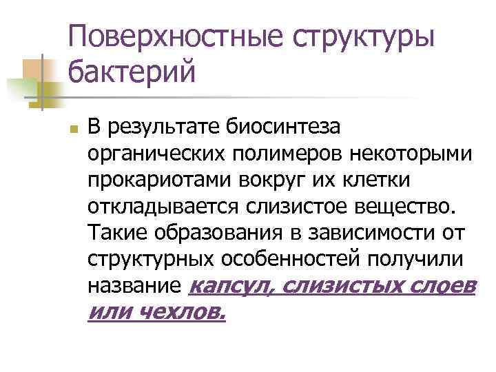 Поверхностные структуры бактерий n В результате биосинтеза органических полимеров некоторыми прокариотами вокруг их клетки