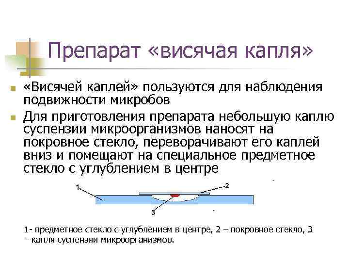 Метод висячей капли