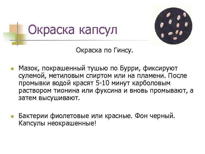 Окраска капсул Окраска по Гинсу. n n Мазок, покрашенный тушью по Бурри, фиксируют сулемой,