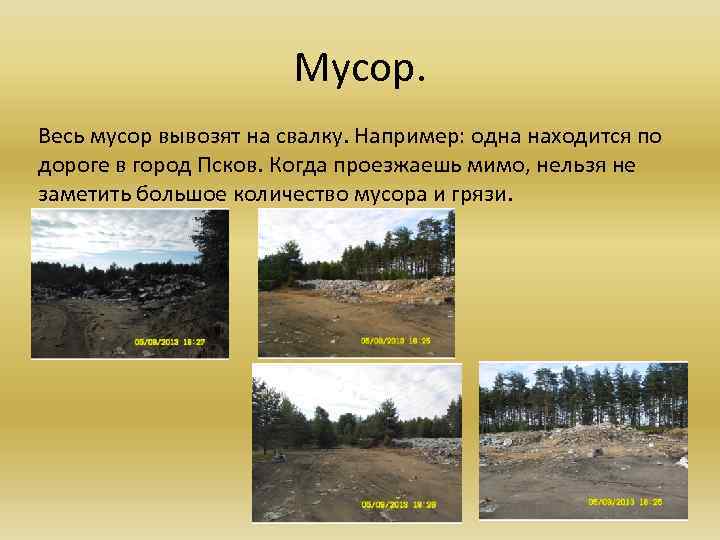 Мусор. Весь мусор вывозят на свалку. Например: одна находится по дороге в город Псков.