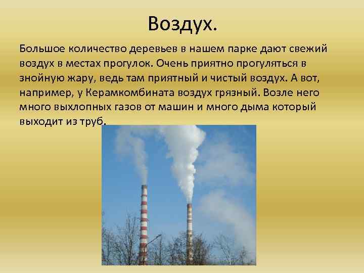 Воздух. Большое количество деревьев в нашем парке дают свежий воздух в местах прогулок. Очень