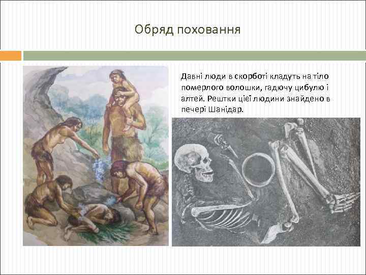Обряд поховання Давні люди в скорботі кладуть на тіло померлого волошки, гадючу цибулю і