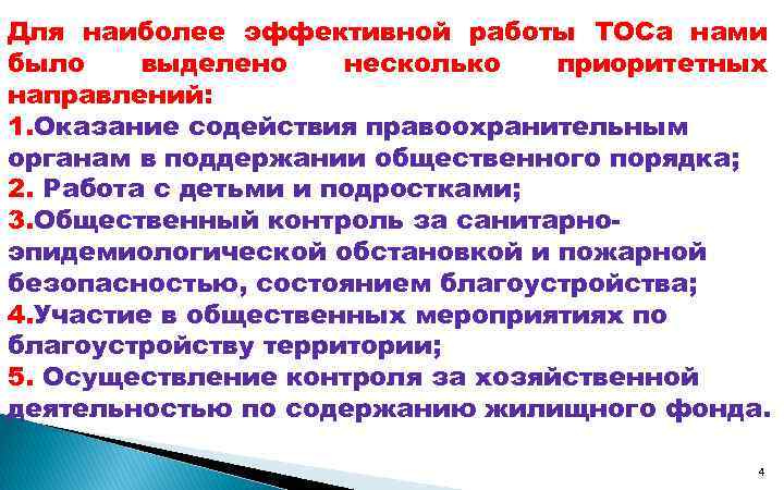 Для наиболее эффективной работы ТОСа нами было выделено несколько приоритетных направлений: 1. Оказание содействия