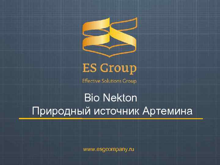 Bio Nekton Природный источник Артемина www. esgcompany. ru 