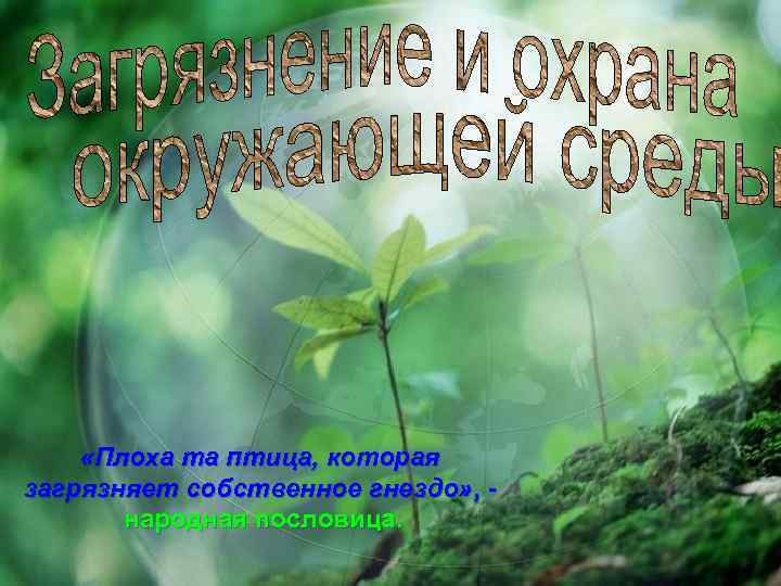  «Плоха та птица, которая загрязняет собственное гнездо» , - народная пословица. 