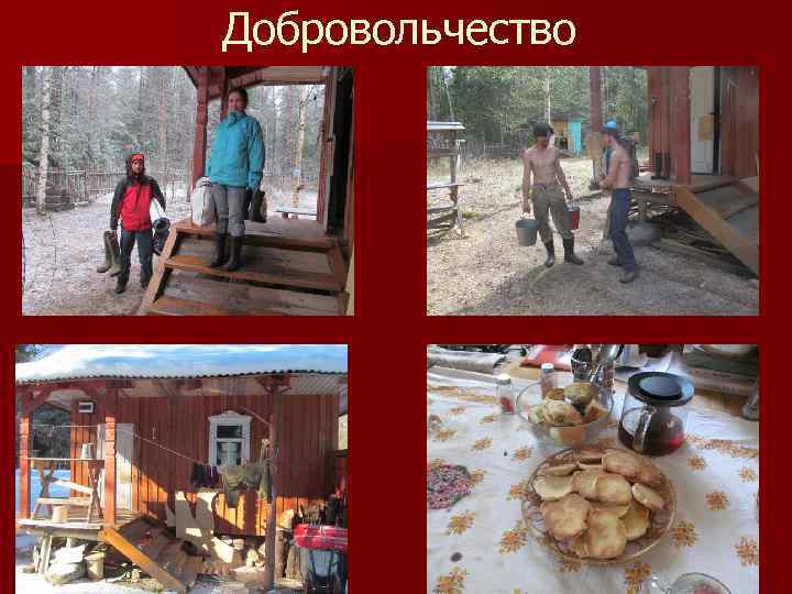 Добровольчество 