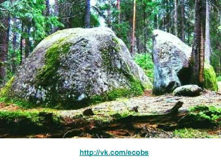 http: //vk. com/ecobs 