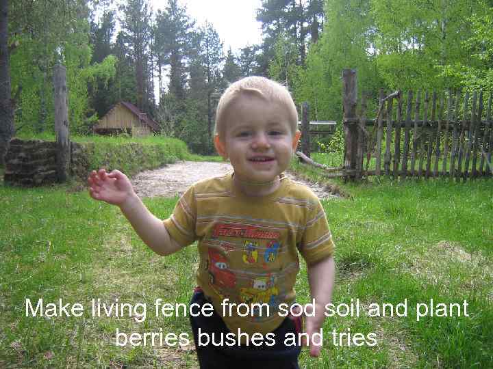 Make living fence from sod soil and plant berries bushes and tries 