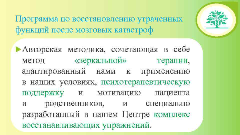 Программа по восстановлению утраченных функций после мозговых катастроф Авторская методика, сочетающая в себе метод