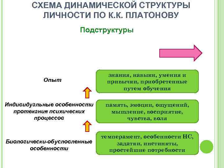 Структура личности платонов схема