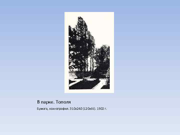 В парке. Тополя Бумага, ксилография. 310 х240 (120 х66). 1902 г. 