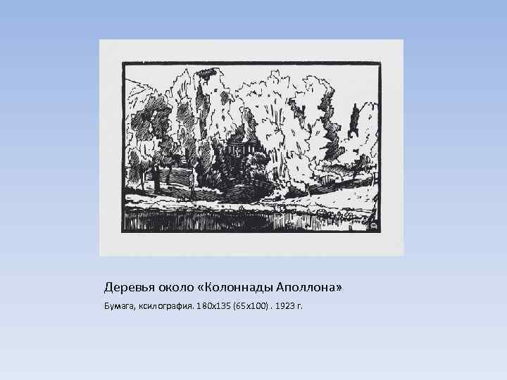 Деревья около «Колоннады Аполлона» Бумага, ксилография. 180 х135 (65 х100). 1923 г. 