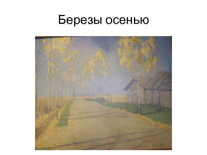 Березы осенью 