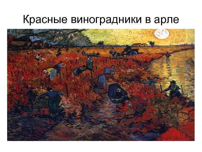 Красный виноградник ван