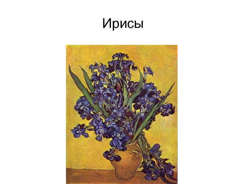 Ирисы 