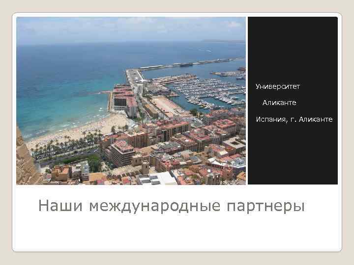 Университет Аликанте Испания, г. Аликанте Наши международные партнеры 